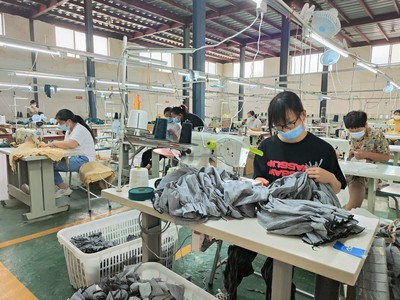 周口淮阳 “引凤还巢”为乡村振兴提速，服装制造产业焕发新活力